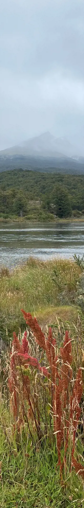 Flora und Fauna im Tierra del Fuego Nationalpark